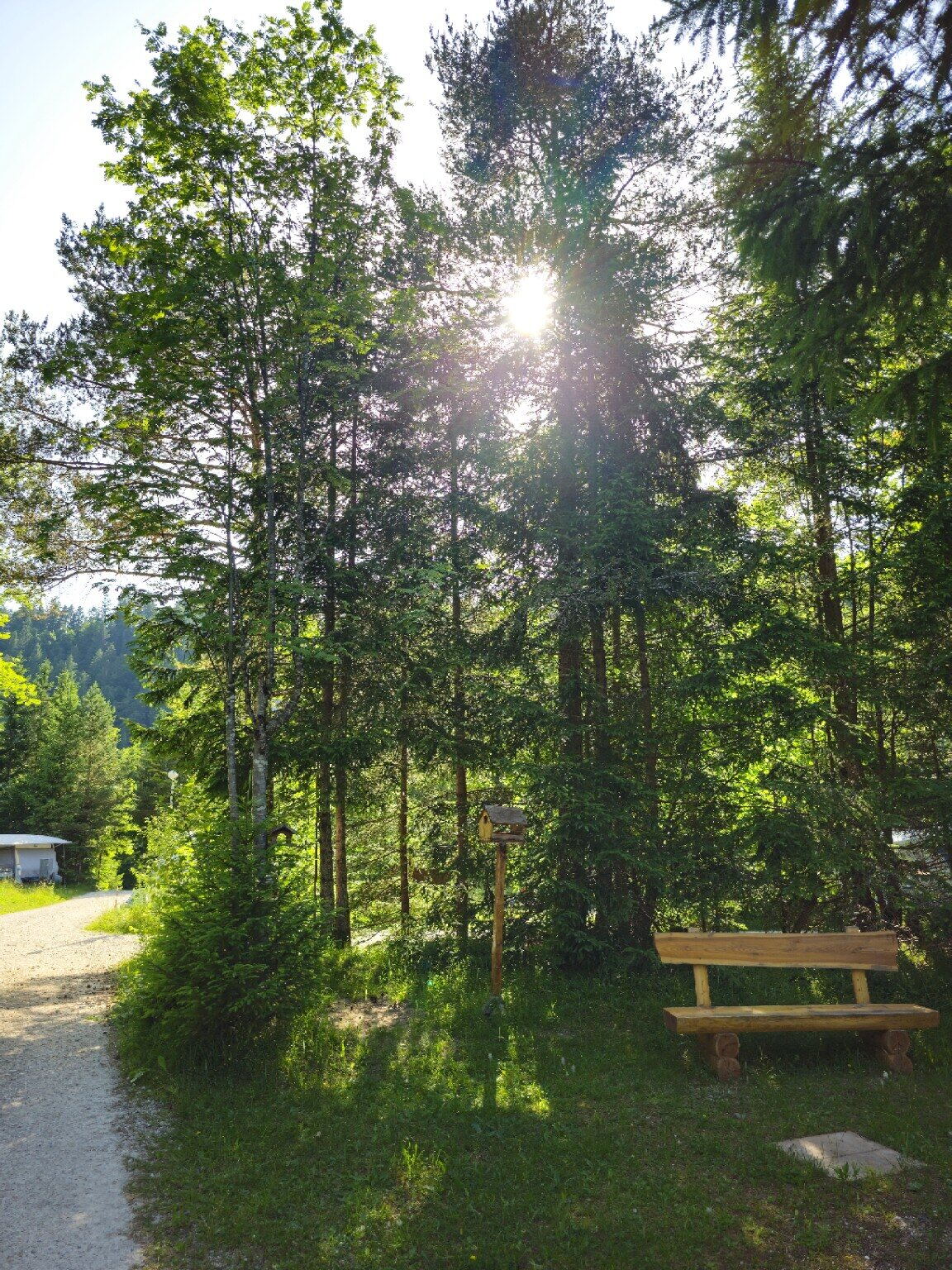 Holzbank an einem ruhigen Platz zwischen Bäumen