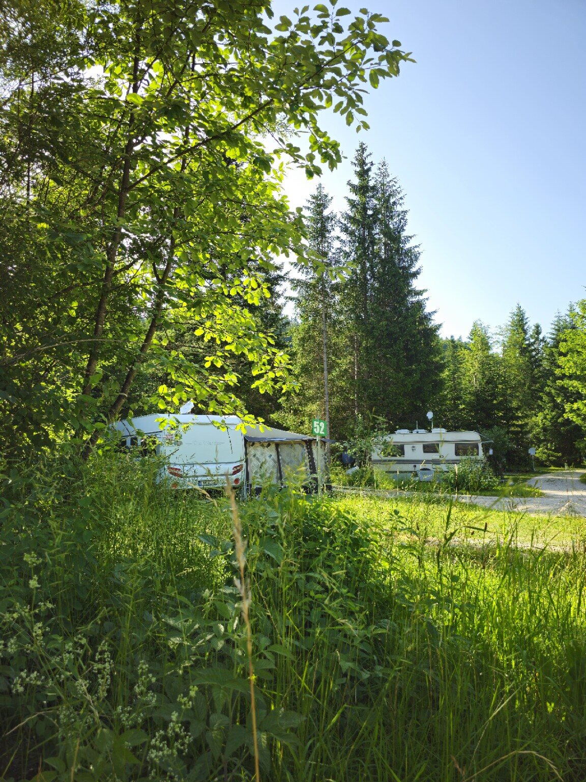 Wohnwagen und Caravanstellplätze zwischen hohen Bäumen