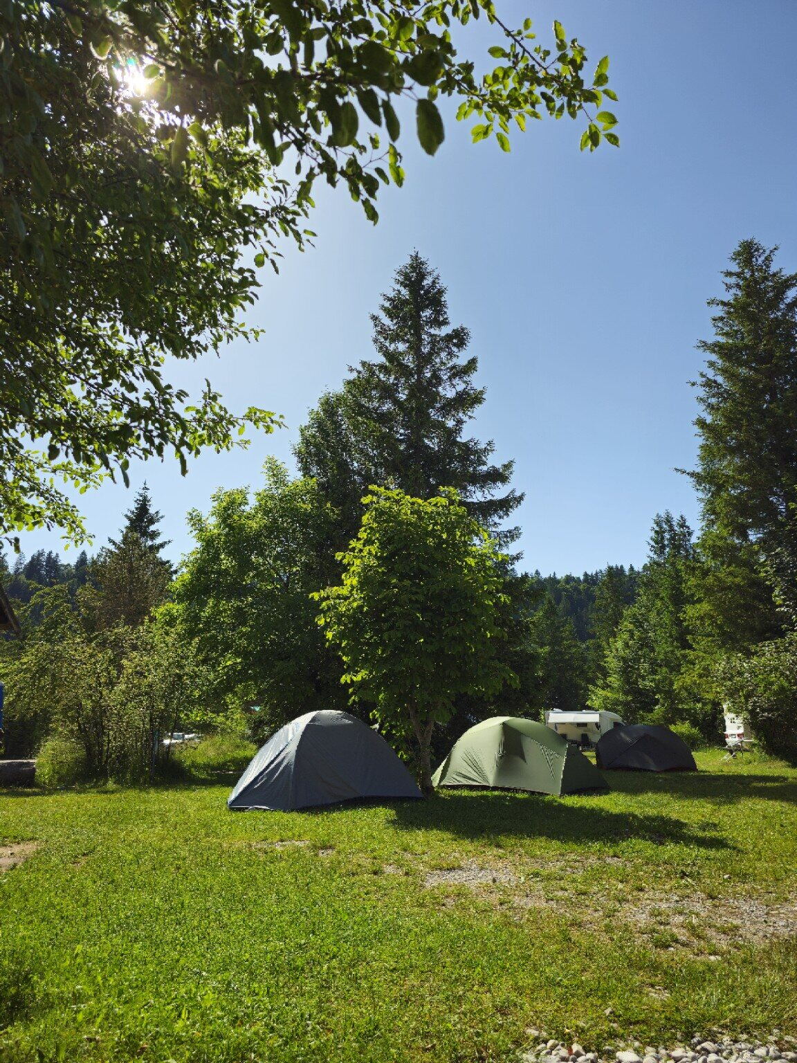 Zelte auf einer sonnigen Wiese im Campingpark Isarhorn
