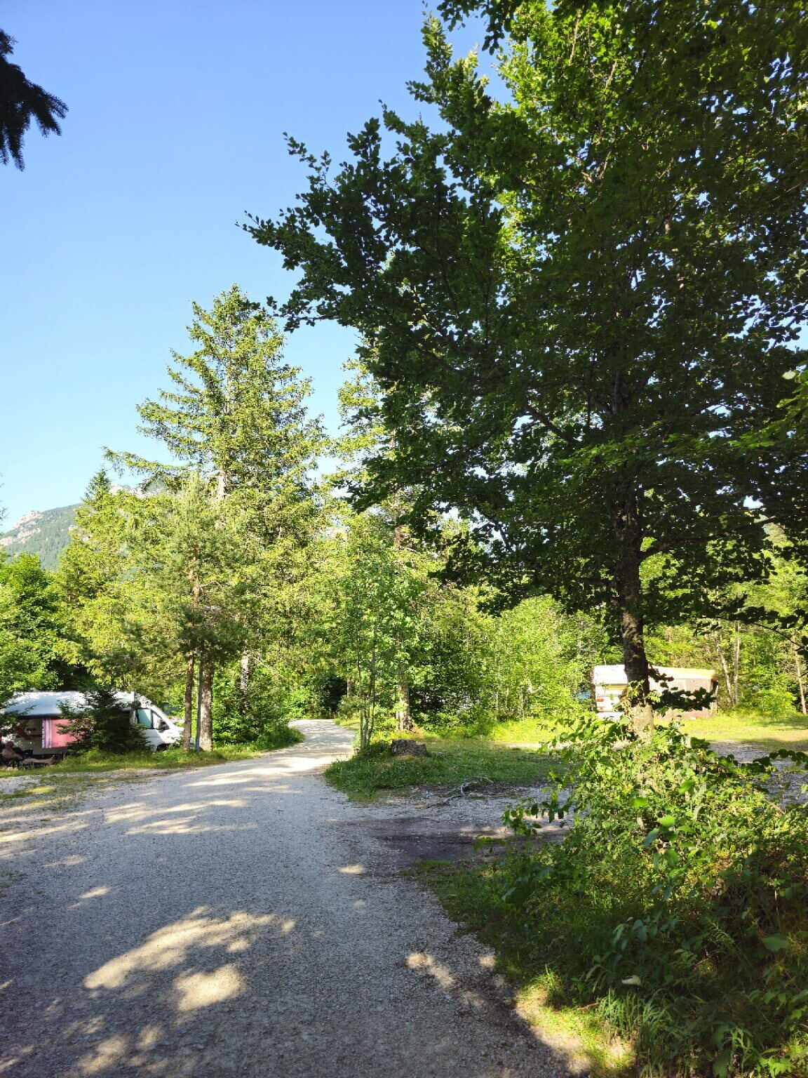 Breiter Kiesweg durch die bewaldeten Campingbereiche
