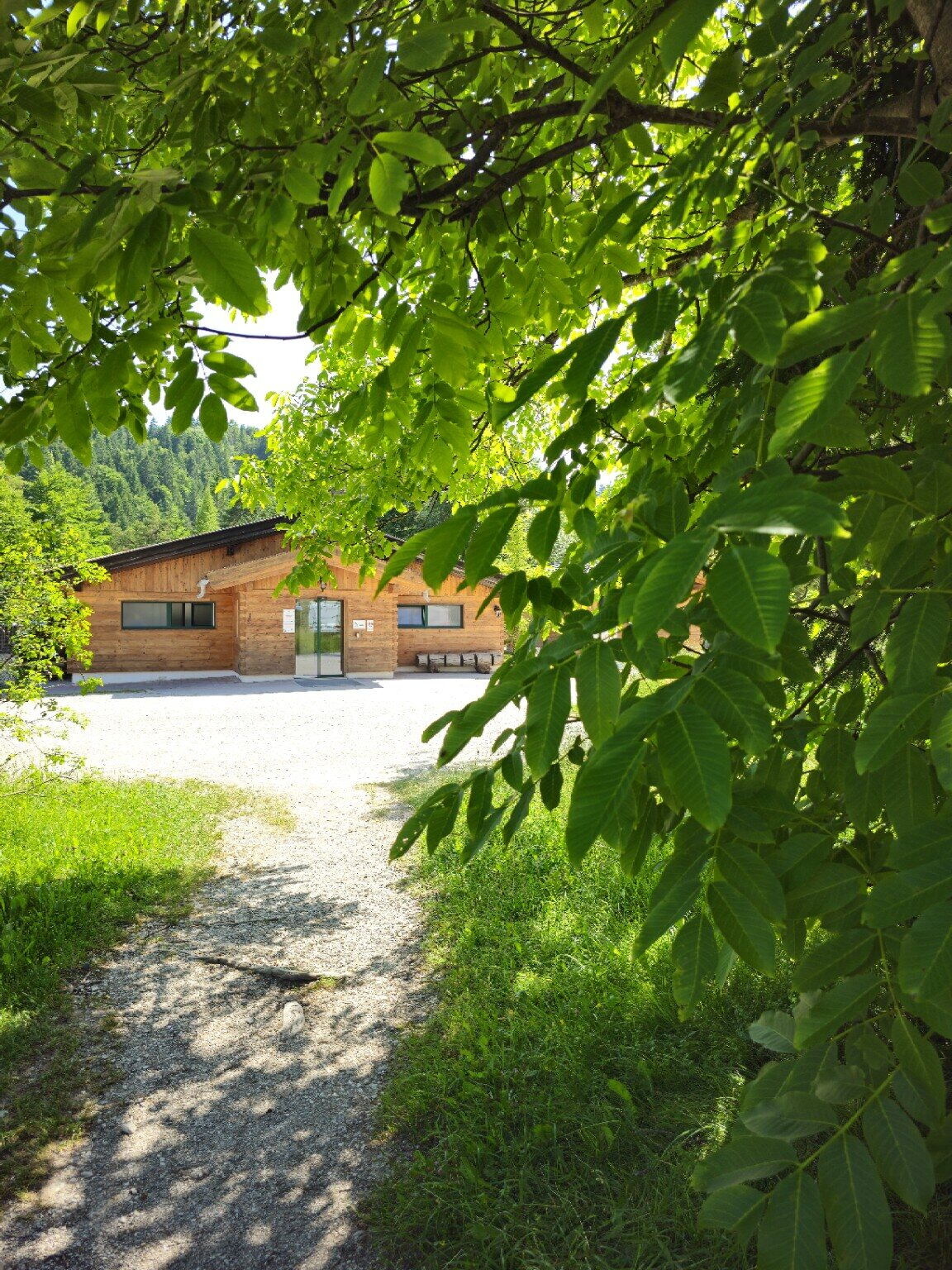 Weg durch das grüne Gelände zum Gebäude des Campingparks